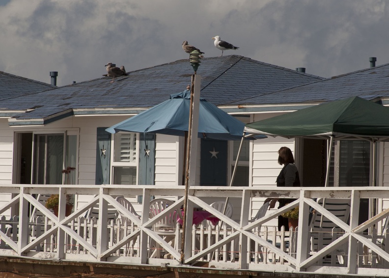 315-5493 Crystal Pier.jpg